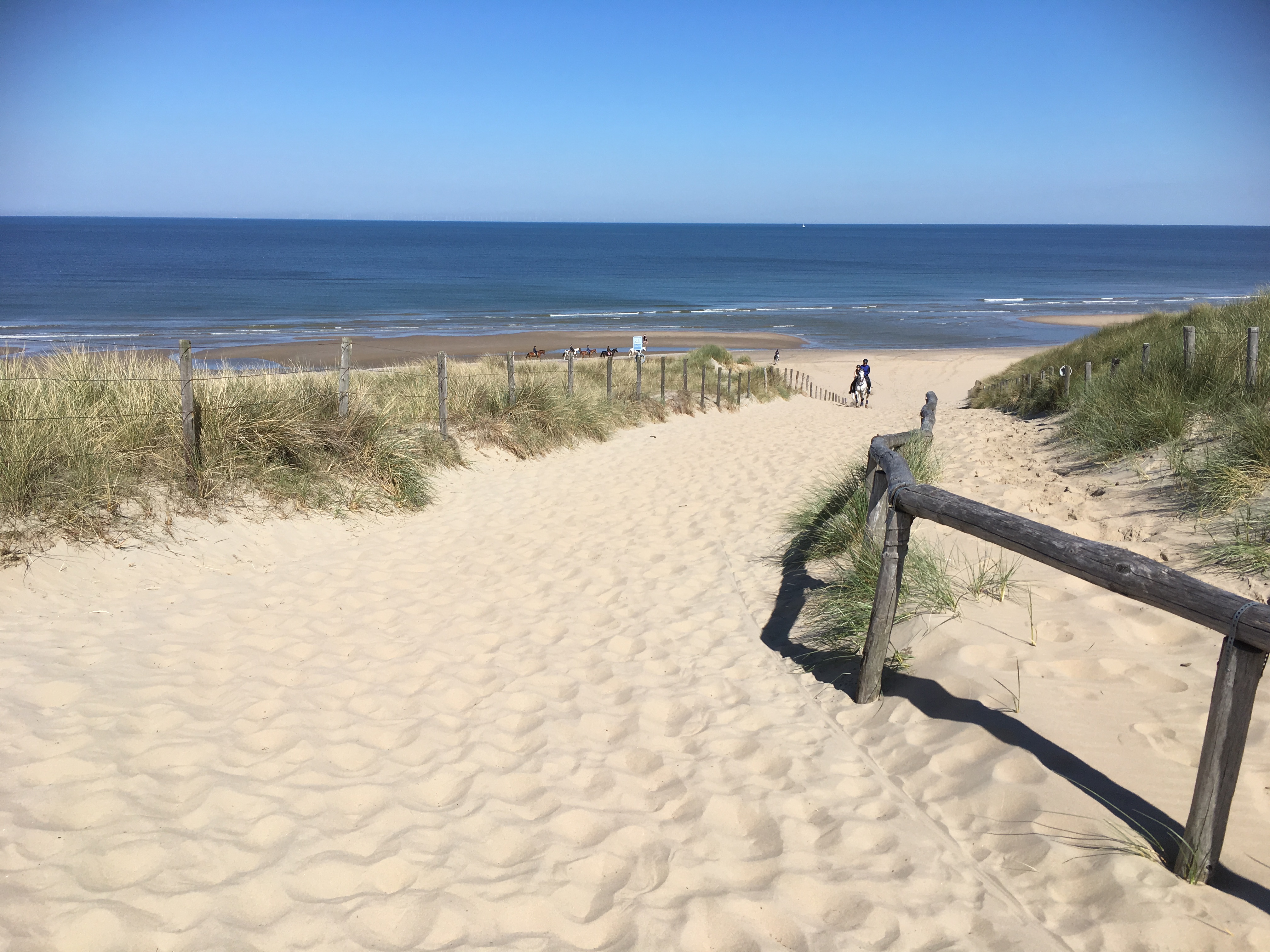 dichtbijzijnde pad naar het strand